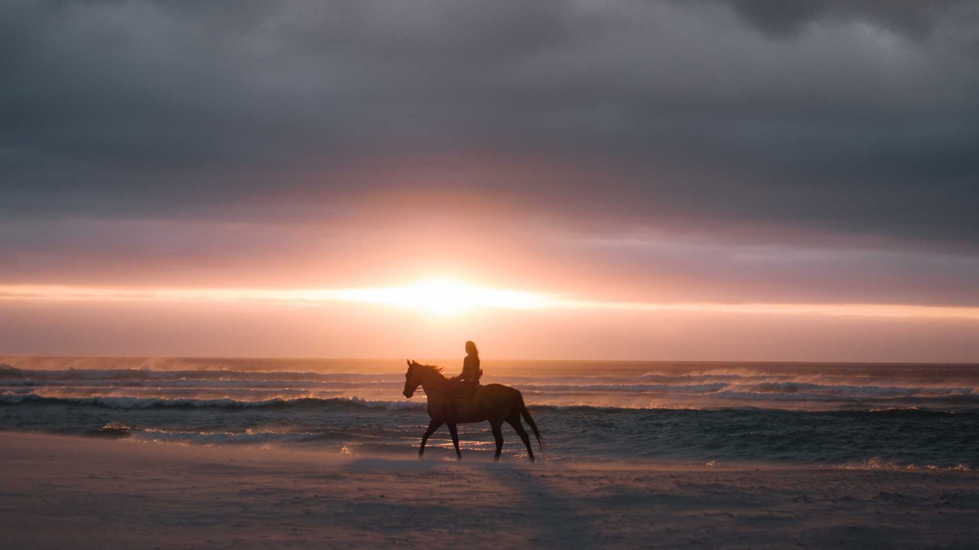 Agadir et Taghazout : Randonnée à cheval de 2 heures sur la plage au coucher du soleil